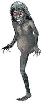 Phi Kong Koi meaning