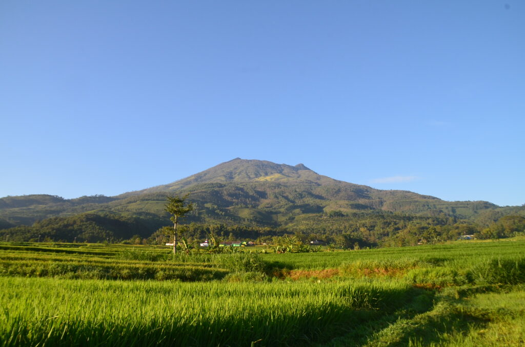 mount lawu mysteries