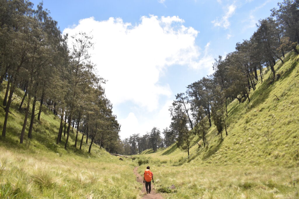mount lawu mysteries